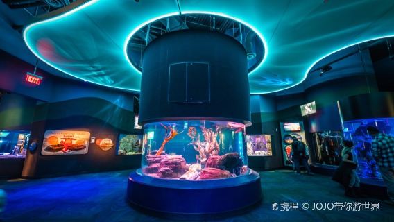 Ripley's Aquarium of Canada