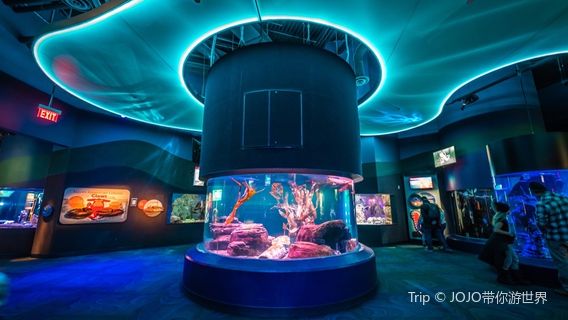 Ripley's Aquarium of Canada