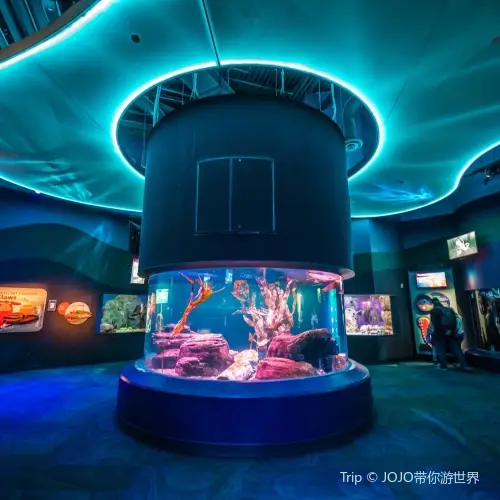 Ripley's Aquarium of Canada