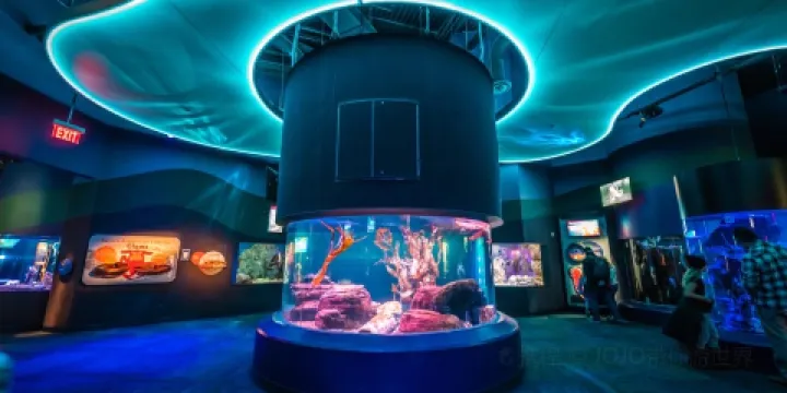 加拿大瑞普利水族館