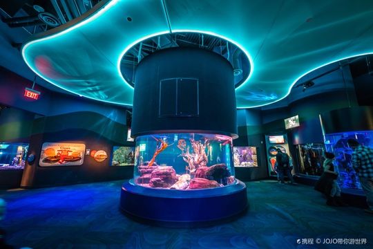Ripley's Aquarium of Canada