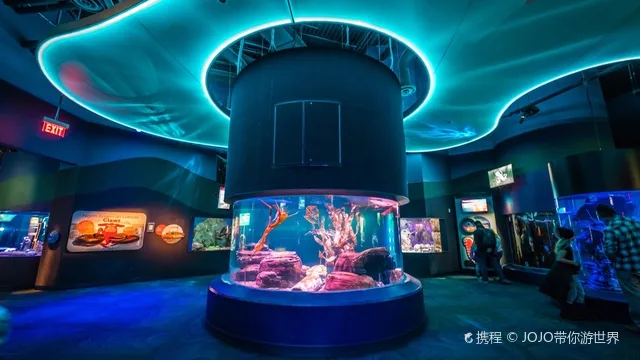 加拿大瑞普利水族館