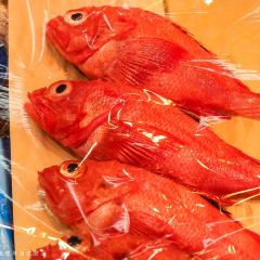 Shioda User Photo