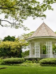 Jardin botanique de Singapour