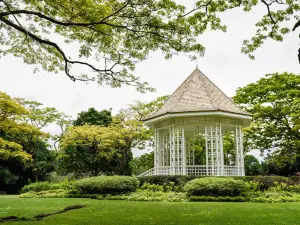 Giardini botanici di Singapore