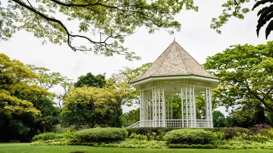 Singapore Botanic Gardens