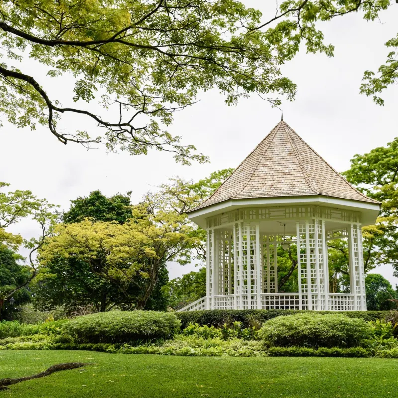 新加坡植物園