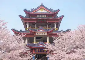 Tai Hu Yuantouzhu Scenic Spot
