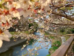 Castello di Kumamoto