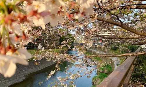 Kumamoto Castle