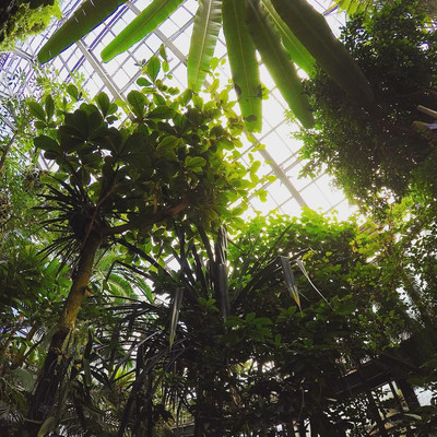 筑波実験植物園 つくば の旅行レビュー Trip Comトラベルガイド