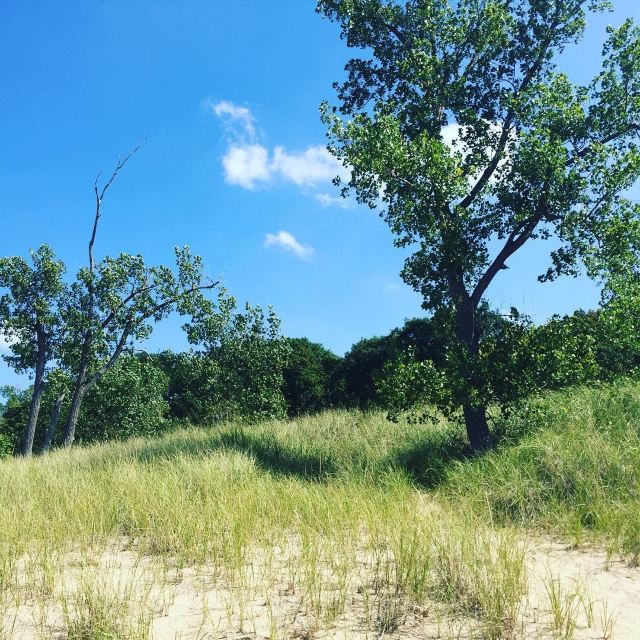 Indiana Dunes State Park