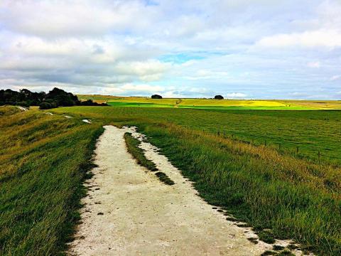 Avebury Stone Circles イースト ケネット の旅行レビュー Trip Comトラベルガイド