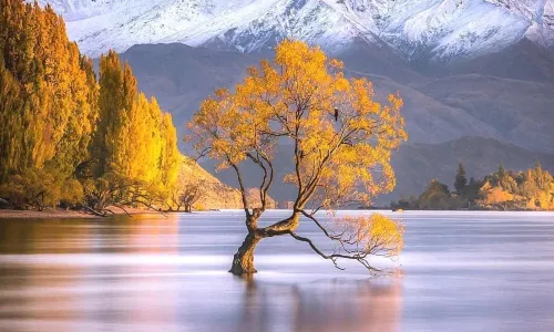 Lake Wānaka