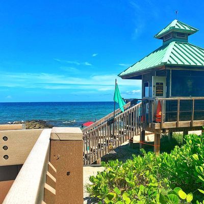 Red Reef Park