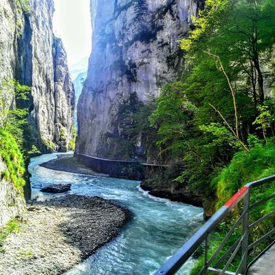 Aareschlucht