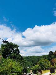 Yongin Nature Recreation Forest