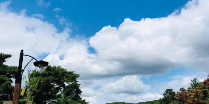 龍仁自然休養林