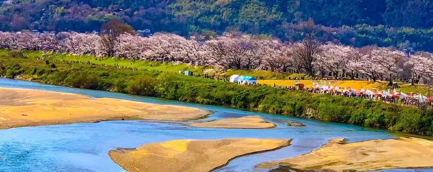 Yodo River Park Sewaritei District