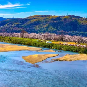 淀川河川公園