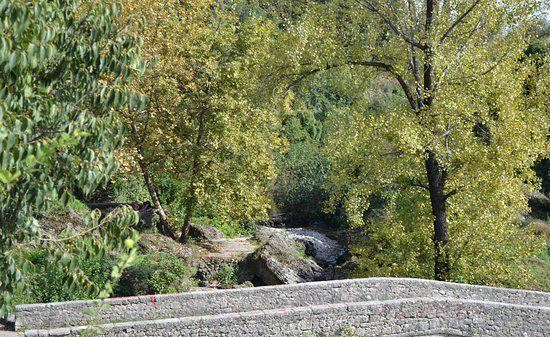 Ribnica Bridge (Most na Ribnici)