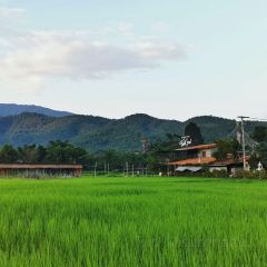 Brandnew Field Good User Photo