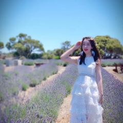Emu Bay Lavender張用戶圖片