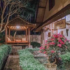 Asmara Restaurant & Lounge User Photo