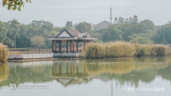 東莞日遊