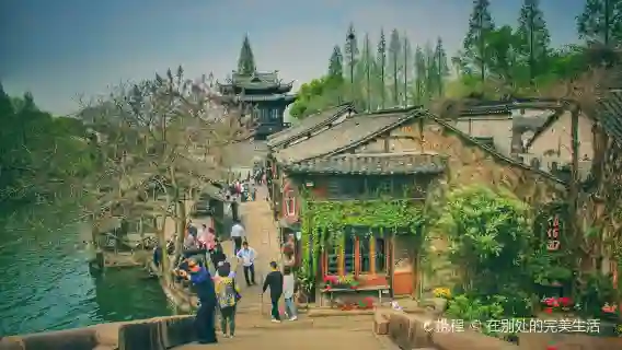 2人起私人導覽烏鎮西柵南潯古鎮一日遊上海嘉興上門接送