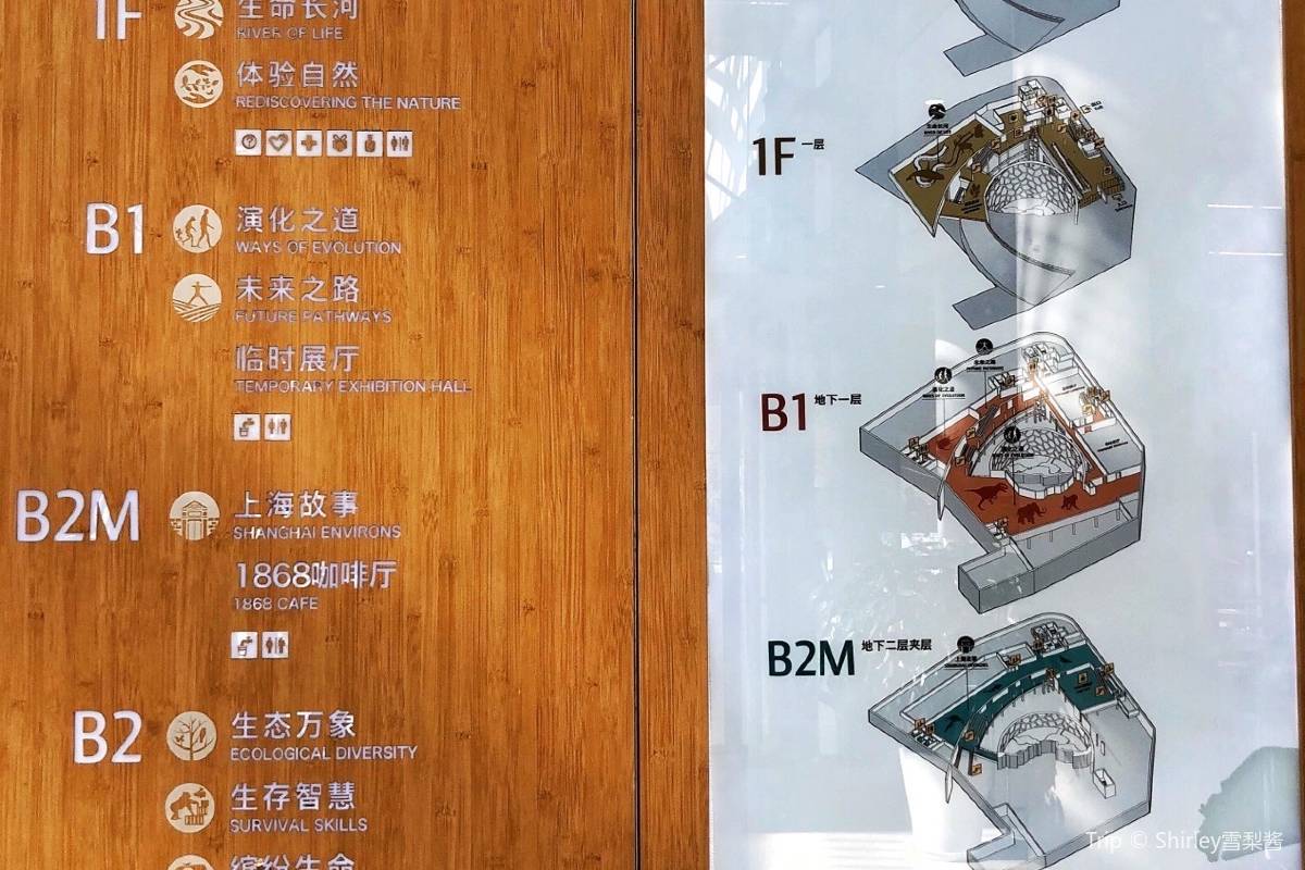 上海自然博物館のその他の施設