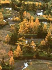 Yoshigadaira Wetlands