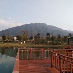 白露塘粮站杀猪粉 User Photo