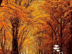 天門山國家森林公園