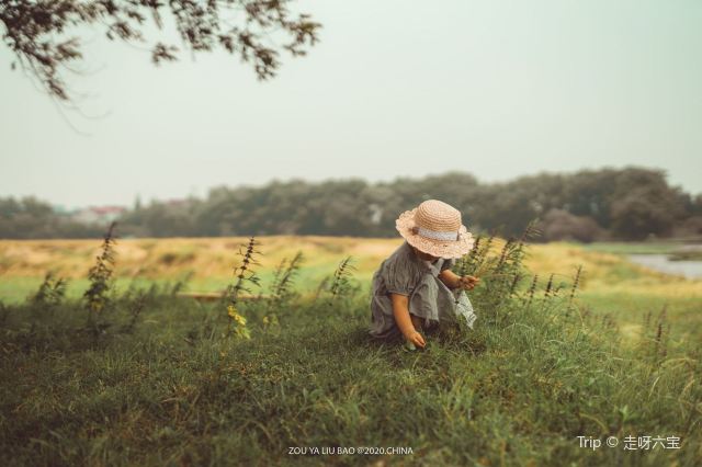 저장 서부 대초원 고명주 문화촌