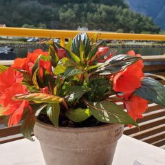 Aurland Fjordhotell Restaurant User Photo