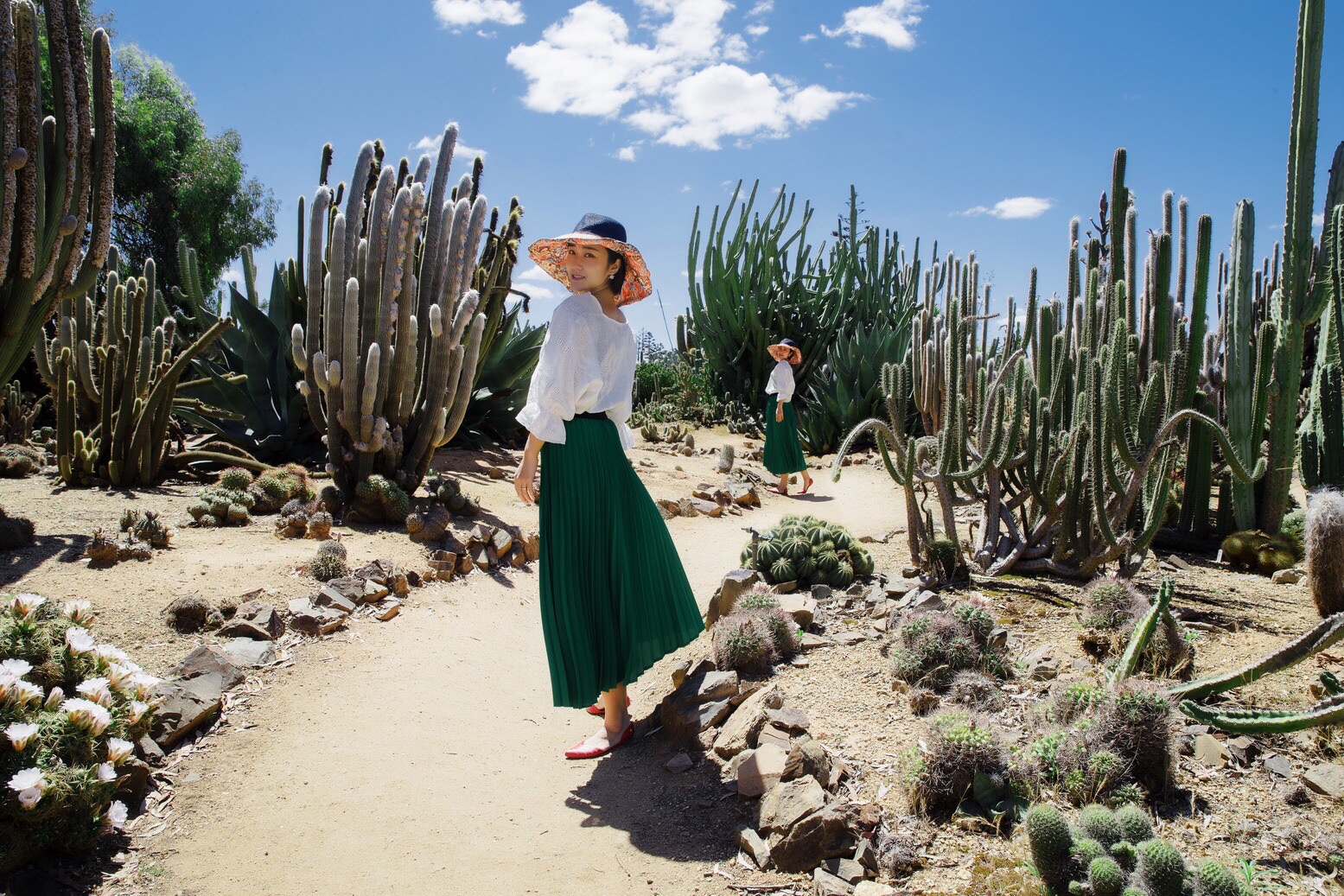 Melbourne Cactus Country