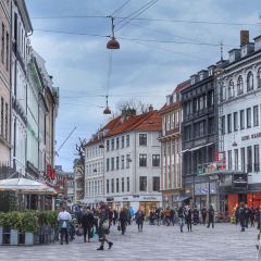 Kiin Kiin張用戶圖片