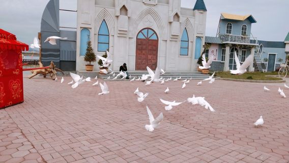 Ocean Hongcun Fishing Village