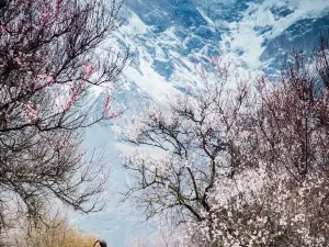 米林の人気春旅におすすめ