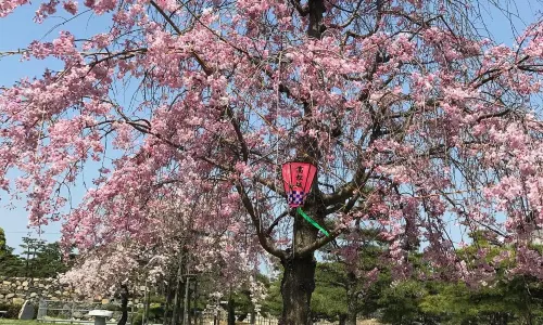 Takamatsu Castle Park