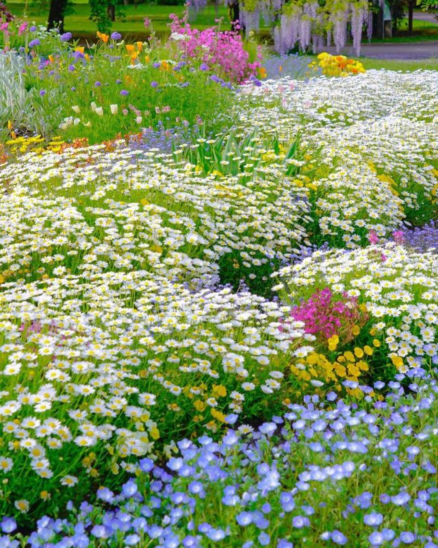 富山県中央植物園attractions 富山travel Review Travel Guide Trip Com 富山県中央植物園attractions 富山travel Review Travel Guide Trip Com