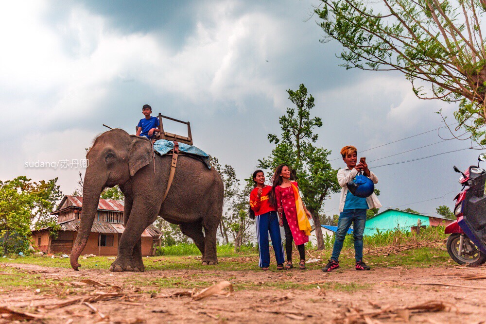 Chitwan
