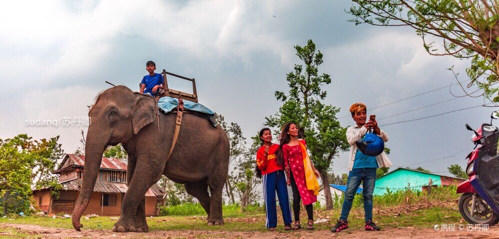 ChitwanTravel photography