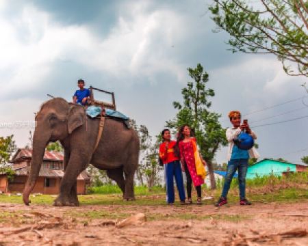 香港-奇旺 機票酒店 自由行