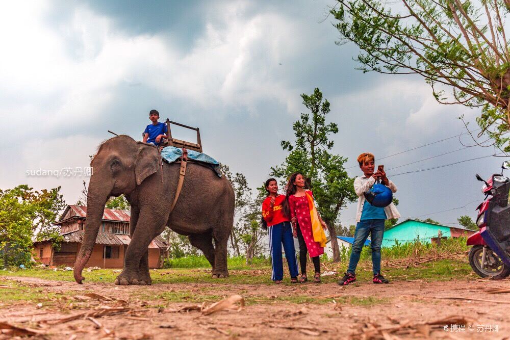 Chitwan