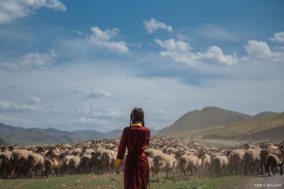 Tibetan Cultural Experience in Gannan