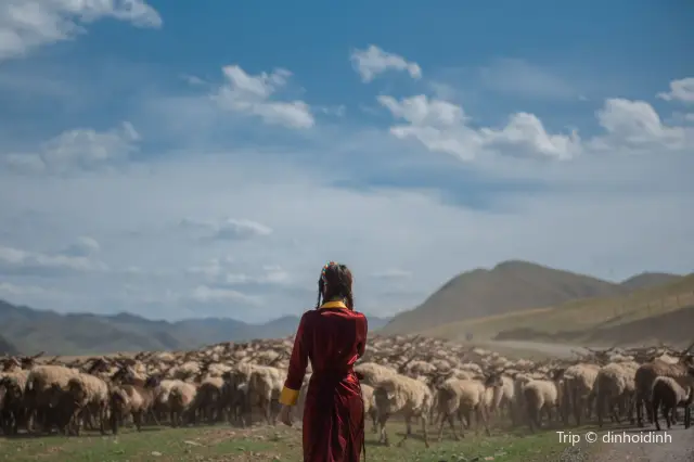 Tibetan Cultural Experience in Gannan