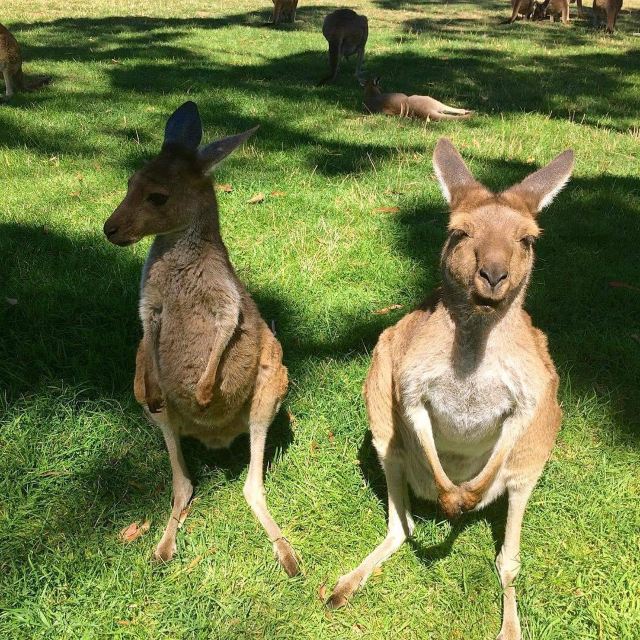 Cleland Conservation Park