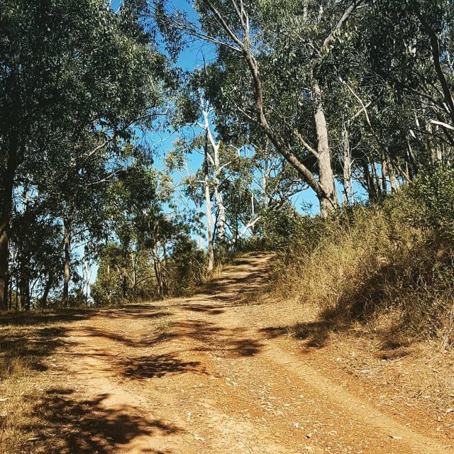 Cleland Conservation Park